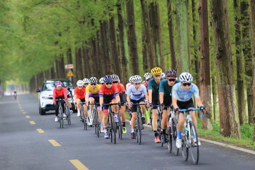 促进体旅融合 东风标致助力2021年 骑遍湖北 自行车赛