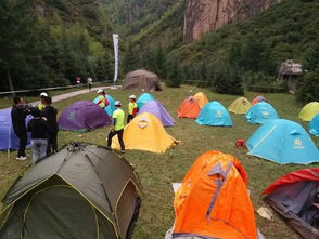 定西在国家攀岩队训练基地成功举办攀岩邀请赛