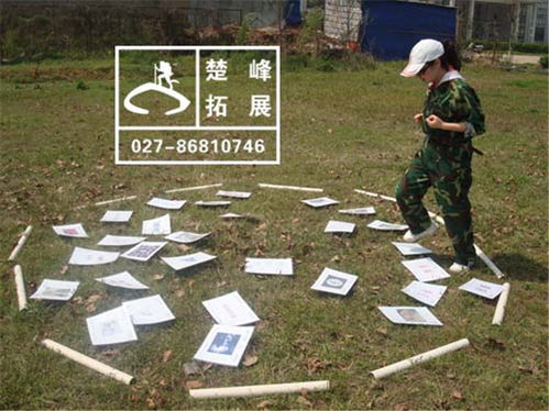 楚峰拓展 图 素质拓展活动 武汉拓展