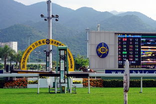 体验 香港 36小时过境游 香港游记