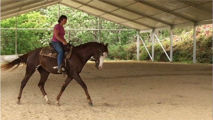 北京石景山啤酒大棚租赁 定做景区帐篷 出售篮球馆篷房