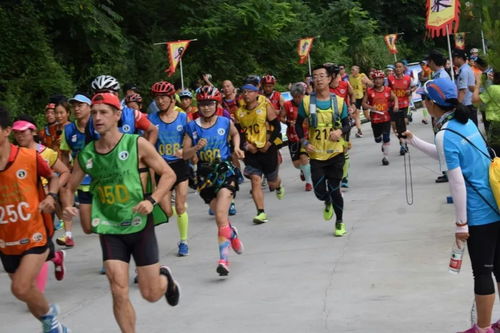 2018中国皇陵 轩辕杯 桥山山地户外公开赛暨世界华人姓氏跑