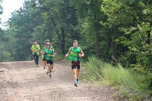 2018中国皇陵 轩辕杯 桥山山地户外公开赛暨世界华人姓氏跑